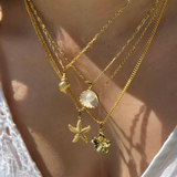 Shell Necklace